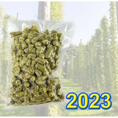 Урожай-2023 г. Хмель Национальный (Украина) А -5,6%, 100 грамм 3112 фото