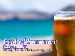 Набор для приготовления пива &quot;End of Summer&quot; (&quot;Конец лета&quot;) IPA Saison на 20 л.