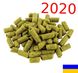 Збір - 2020 р. Хміль Клон-18 (Україна) - А - 3,5 % 34464201 фото 2