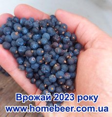 Новый урожай 2023 года. Можжевеловая ягода, 20 грамм 1438778 фото