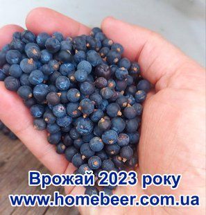 Новий збір !!!  2023 року. Ялівцева ягода, 20 грам 1438778 фото