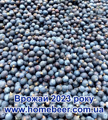 Урожай 2022 года. Можжевеловая ягода, 100 грамм 2471349 фото